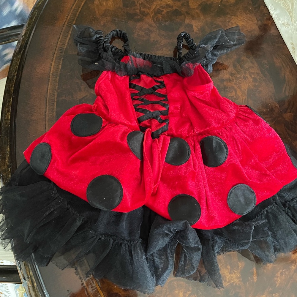 Lady bug costume. Size 2t